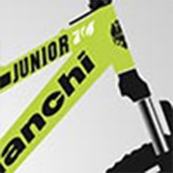 Bianchi Junıor 24 Jant 370H 21-V Vb Sarı-Siyah-Gri