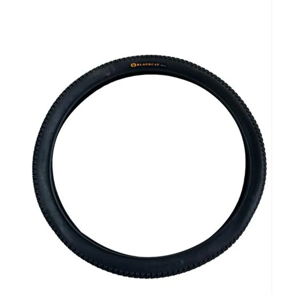 BİKE SKY BLACK CAT 29 X 2.10 MTB 5MM ZIRHLI DIŞ LASTİK 